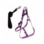 CecePet Cool Walk Harness Mor Köpek Göğüs Tasması