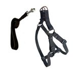 Cecepet Cool Walk Harness Siyah Köpek Göğüs Tasması S