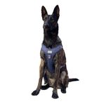 Cecepet Cool Walk Premium Köpek Göğüs Tasması M