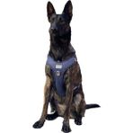 CecePet Cool Walk Premium Köpek Göğüs Tasması