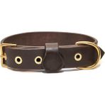 CecePet Tengri Handmade Deri Köpek Tasması Kahverengi L (46-55 Cm) Cl-Te-Br-L