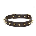 CecePet Thor Handmade Deri Köpek Tasması Kahverengi M (36-45CM) Cl-Th-Br-M