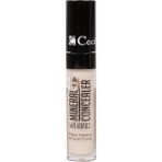 Cecile Cover Up Mineral 01 Concealer