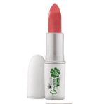 Cecile Vegan Stıck Rouge 05 Ruj