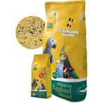 Cede Egg Patee Morbido Hafif Nemli Mama 1kg