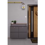 Ceha Kilitli Tablalı 4'lü Metal Ayakkabılık - Füme K.AYK-2.4/AC/P 7979/KL