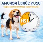Cekar Store Dişi Köpek ve Kedi Tuvalet Bezi S – Ultra Emici ve Sızdırmaz Pet Bezi, Regl (Kızgınlık) Dönemi, Idrar Kaçırma ve Tuvalet Eğitimi Için Tek Kullanımlık Pet Diaper – Rahat Ayarlanabilir Fit