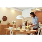 Cekar Store Philips LED CLASSIC120W G120 E27 Sarı Işık Glob Ww Dim Edilmez Ampul