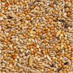 Cekar Store Premium Budgies Muhabbet Kuş Yemi 1100GR