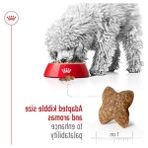 Cekar Store Royal Canin Mini Adult Köpek Maması, 2 kg