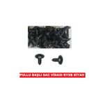 CEKSAN Sac Vidası Rysb Pullu Başlı Siyah Vida 4.2x19mm 250 Adet