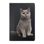 Cekuonline British Shorthair Desenli Deri Pet Evcil Hayvan Kedi Köpek Pasaport Sağlık Karnesi Kabı Kılıfı