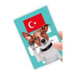 Cekuonline Jack Russel 2 Desenli Şeffaf Baskılı Evcil Hayvan Pet Kedi Köpek Pasaport Kılıfı Karnesi