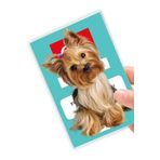 Cekuonline Yorkshire Terrier Desenli Şeffaf Evcil Hayvan Kedi Köpek Uyumlu Pasaport Sağlık Karnesi Kabı Kılıfı