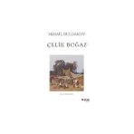 Çelik Boğaz (Braılle) + Hep “hayır!” Diyen Çocuk + 2 Kitap