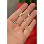 Çelik Üç Renk 5'li Kombinli Tragus Küpe Model19-2