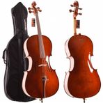 Çello (Viyolonsel) Tam Takım 4/4 Gül Aksamlı Parlak DCR44CRP1