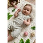 CemBebe Bebek Kısa Kolsuz Alttan Çıtçıtlı Yazlık Tulum Kahverengi