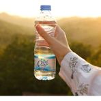 Çenesuyu Kaynak Suyu 500 ml Pet Şişe x 12 - Bitki Çayı
