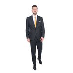 Cengiz İnler Sivri Yaka Çizgili Erkek Takım Elbise GRİ 50