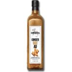 Cenova Ginger Bread Kokteyl Kahve Şurubu 1 lt - 1 Adet