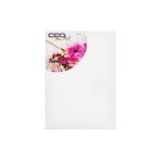 Ceo Ceoart Tuval 50X70 (Düz) Ceo00012
