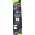 Ceoart 253-0 Suluboya Fırçası