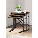 Ceramical Zg1 Metal Ayaklı 3'lü Zigon Sehpa - Ceviz