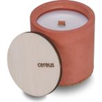 Cereus Inytium Menawan Ud Ağacı Kokulu Soya Mum (210 Gr) - 1 Adet
