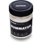 Cereus Nocte Nummatus Paçuli & Vanilya Kokulu Soya Mum (210 Gr) - 1 Adet