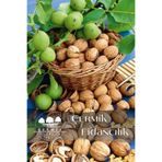 ÇERMİK FİDANCILIK Aşılı Chandler Salkım Ceviz Fidanı 2 Yaş