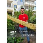 Çermik Fidancılık Bambu Fidan Bitki Destek Çubuğu 30 Adet 2 Metre Boy - 1 Paket