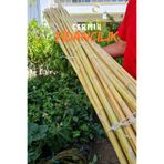 ÇERMİK FİDANCILIK Bambu Fidan Bitki Destek Çubuğu 40 Adet 2 Metre Boy