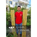 ÇERMİK FİDANCILIK Bambu Fidan Bitki Destek Çubuğu 50 Adet 2 Metre Boy