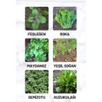 Çermik Fidancılık Yeşillik Tohum Paketi Fesleğen, Roka, Maydanoz, Soğan, Semizotu, Kuzukulağı 60 gr - 1 Adet