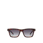 Cerruti 1881 CR 80037 C2 Kahverengi Kare Havana Asetat Erkek Güneş Gözlüğü