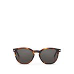 Cerruti 1881 CR80016 C2 Erkek Güneş Gözlüğü