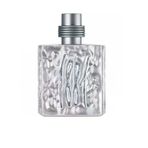 Cerruti 1881 Silver For Men EDT 100 ml Erkek Parfüm