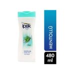 Çeşitli Ipek Şampuan 480 ml Tüm Saçlar Için Mentol
