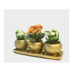 Çeşitli Renkte Kalanşo Kalanchoe & Altın Trio Curve Beton Saksıda Hediyelik Canlı Çiçek BALFLOWERDESİGN-2251