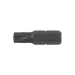 Ceta Form CB/516TX40 30 mm Torx Bits Uç