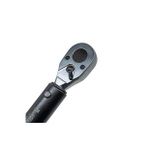 Ceta Form D02F2-1110 20-100 Nm Exacto Tork Anahtarı