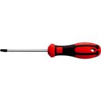 Ceta Form F25-005-100 C-Plus Tri-Wing Uçlu TW5x100 mm Tornavida