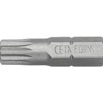 Cetaform CB/856 25 mm M6 Xzn Bits Uç