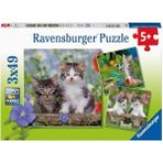 CetKing - 3 x 49 Parça Puzzle Tiger Babies (80465)