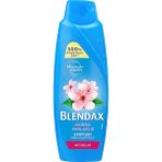 CetKing Anında Parlaklık ve Yumuşaklık Kiraz Çiçeği Özlü Şampuan, 500 ml