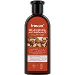 CetKing Argan Yağlı Şampuan Yıpranmış Saçlar Için 300 ml
