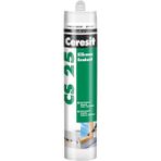 CetKing Cs 25 Şeffaf Silikon, 280ML