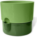 CetKing Dora Saksı Tabaklı Çiçek Kaktüs Saksısı Parlak Plastik Saksı (Yeşil, 2 Litre)