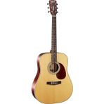 CetKing EARTH100NS Akustik Gitar